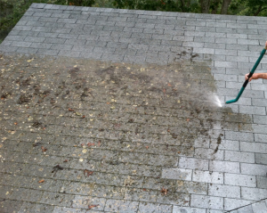 roofcleaning